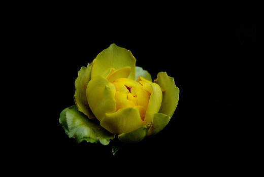 891206 (a): :2048x1371